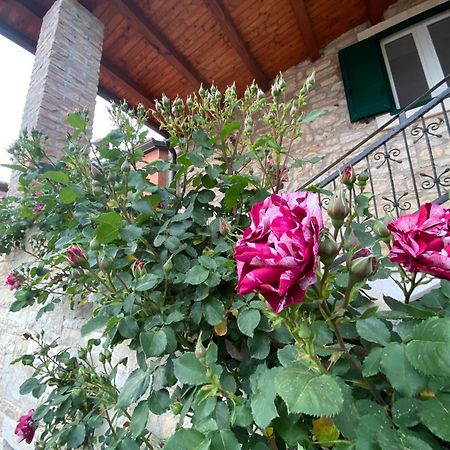 Villa Kortina Bašanija Exterior foto